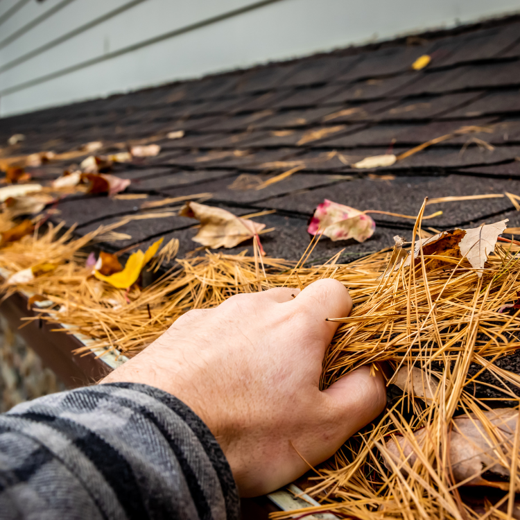 Roof and Gutter Cleaning in Beaverton, OR